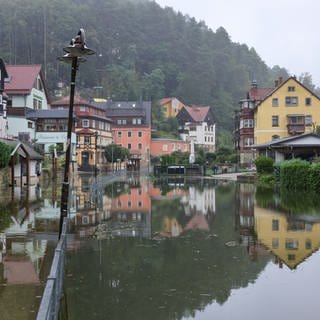 Rathen in Sachsen: Die Häuser des Luftkurortes spiegeln sich im Hochwasser der Elbe. Die Pegelstände steigen in Sachsen weiter an.