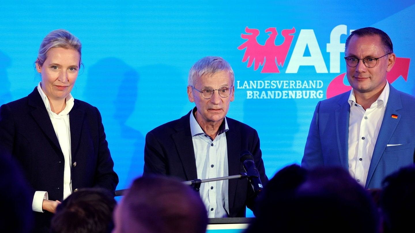 AfD bei der Landtagswahl in Brandenburg 2024