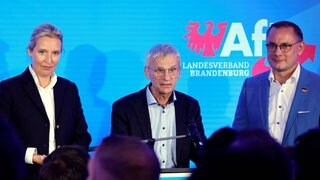 AfD bei der Landtagswahl in Brandenburg 2024