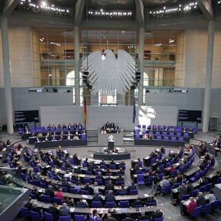 Eine Sitzung im Bundestag - Laut einer Studie sind wenig Menschen mit Migrationshintergrund in der Politik vertreten