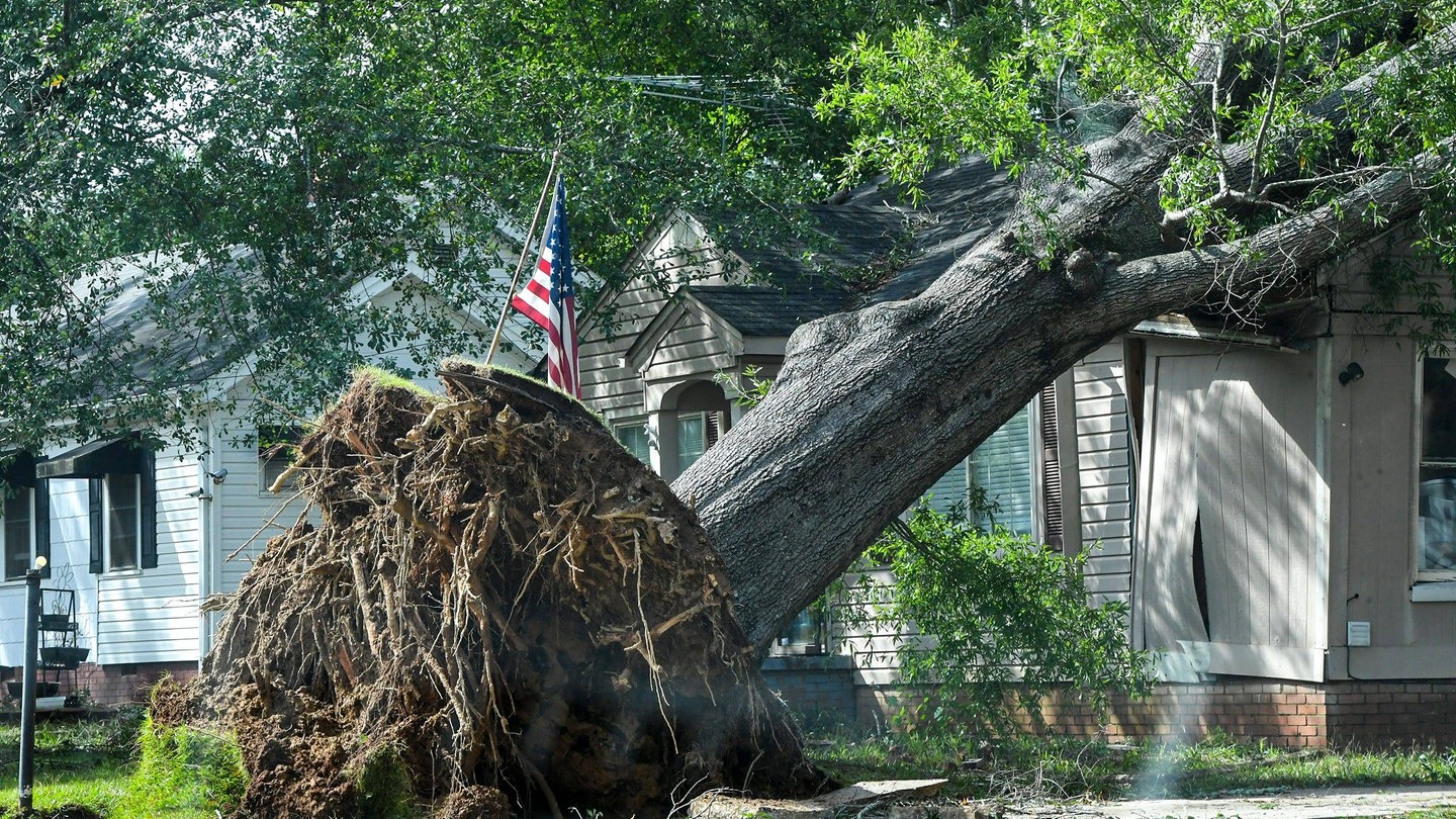 Umgestürze Bäume, zerstörte Häuser und Überschwemmungen: Hurricane Helene hat in den USA Zerstörung angerichtet - vor allem in Florida.