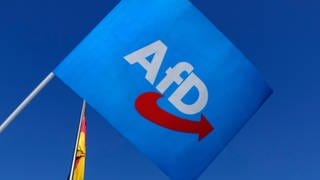 Eine Fahne der AfD vor dem Reichstag in Berlin