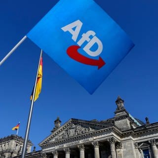 Eine Fahne der AfD vor dem Reichstag in Berlin