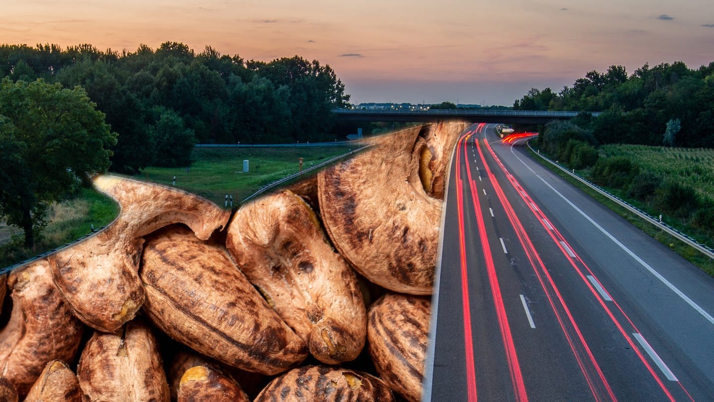 Klimafreundliche Straße aus Cashew: In Stuttgart wird erstmals eine Autostraße gebaut, deren Belag zum Teil aus der Schale von Cashew-Nüssen besteht.