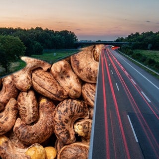 Klimafreundliche Straße aus Cashew: In Stuttgart wird erstmals eine Autostraße gebaut, deren Belag zum Teil aus der Schale von Cashew-Nüssen besteht.