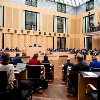 Teilnehmer verfolgen die Bundesratssitzung. Teile des Sicherheitspakets sind dort gestoppt worden.