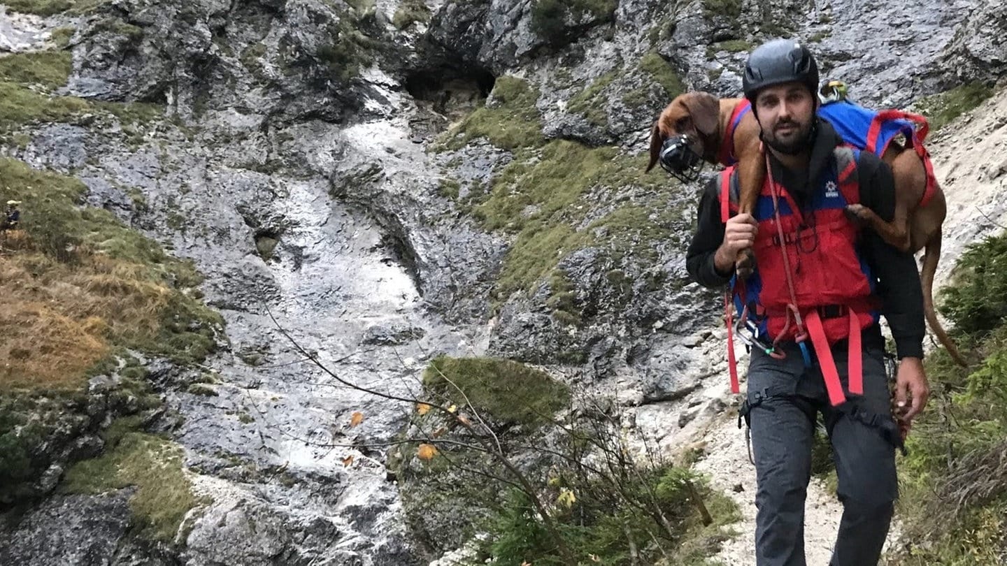 Hündin Nala wird von der Bergwacht Füssen aus einem Klettersteig gerettet.