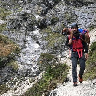 Hündin Nala wird von der Bergwacht Füssen aus einem Klettersteig gerettet.