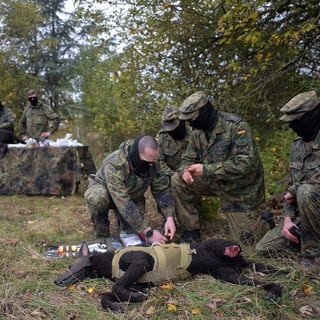 Ukraine: Kampfhunde-Training in Bitburg