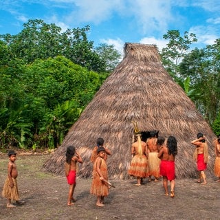 Ein Yagua maloca, traditionelles Haus mit Strohdach, Umgebung von Iquitos, Amazonas-Peru Yagua, Yahuna, Nihamwo, Yihamwo, Nihamwo oder Mishara sind ein indigenes Volk, das in der Provinz Mariscal Ramon Castilla und der Provinz Putumayo, beide im Departement, lebt von Loreto, Peru und in den Reservaten Santa Sofia und El Progreso im kolumbianischen Departement Amazonas. 