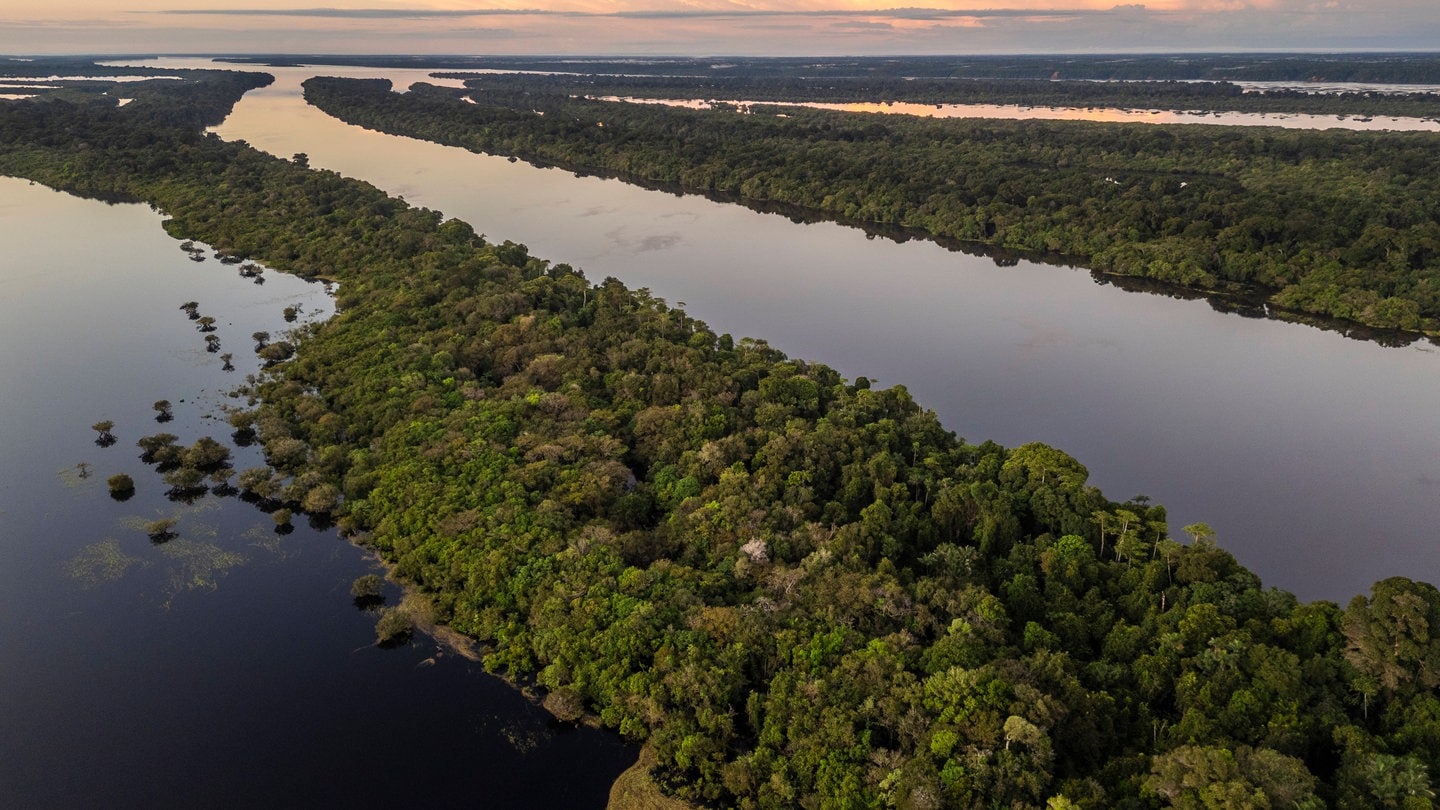 Dre Regenwald am Amazonas in Brasilien: Es gibt immer weniger illegale Abholzung.