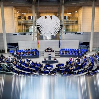 Das Plenum des Deutschen Bundestages