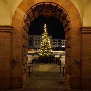 Weihnachtsmarkt in Mainz 2023 Blick vom Haupteingang des Mainzer Staatstheaters auf den Weihnachtsbaum au dem Gutenbergplatz in Mainz; Traditioneller Weihnachtsmarkt am Mainzer Dom