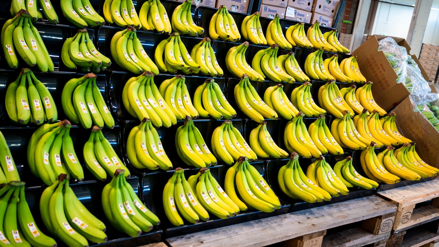 Im Supermarkt werden oft auch einzelne Bananen angeboten. Eine Studie zeigt, wie wir dabei manipuliert werden können: Single-Bananen scheinen wir gerne zu kaufen, wenn unsere Emotionen geweckt werden.