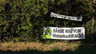 Zwei Banner mit der Aufschrift "Hände weg vom Dietenbachwald!" sind neben einem Fahrrdweg gespannt. Am Samstagmorgen hat die Polizei mit der Räumung in Freiburg begonnen. Aktivisten haben den Wald besetzt.