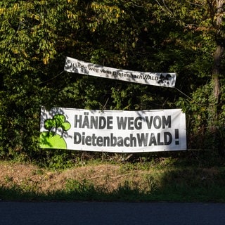 Zwei Banner mit der Aufschrift "Hände weg vom Dietenbachwald!" sind neben einem Fahrrdweg gespannt. Am Samstagmorgen hat die Polizei mit der Räumung in Freiburg begonnen. Aktivisten haben den Wald besetzt.