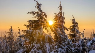 Wintersonne über verschneiten Bäumen: Am 21. Dezember ist Wintersonnenwende - die Tage werden wieder länger.