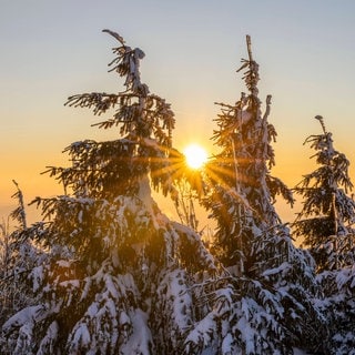 Wintersonne über verschneiten Bäumen: Am 21. Dezember ist Wintersonnenwende - die Tage werden wieder länger.