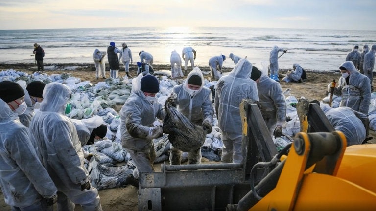 Tragödie im Schwarzen Meer: Öl, tote Delfine und tausende Helfer