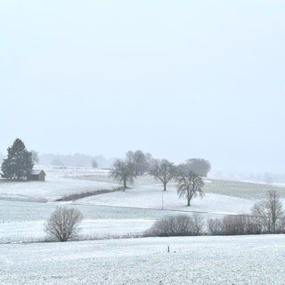 Wetter an Heiligabend in Baden-Württemberg und Rheinland-Pfalz.