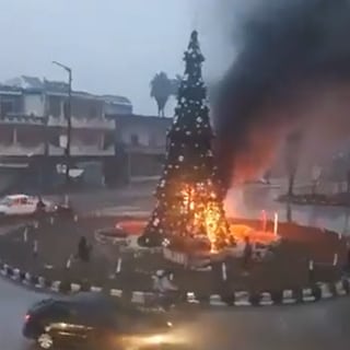 Der brennende Baum aus dem viralen Video.