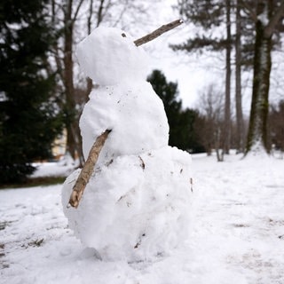 Symbolbild: Ein Schneemann steht in einem Park.