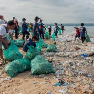 Freiwillige sammeln tonnenweise Plastikmüll an einem Strand auf Bali.