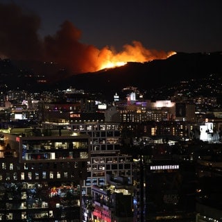 Das Feuer in den Hollywood Hills in LA.