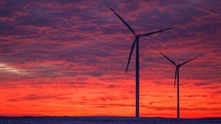 Windräder stehen vor leuchtenden Wolken zum Sonnenuntergang. Eine aktuelle Analyse zeigt: Es wurde so viel Strom aus erneuerbaren Energien gewonnen, wie noch nie zuvor in der EU.