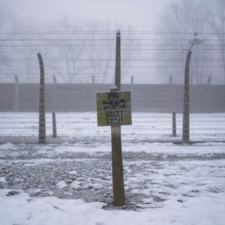 Schild Auschwitz