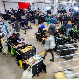 Ehrenamtliche sortieren bei der Berliner Tafel auf dem Berliner Großmarkt-Gelände Obst und Gemüse, welches bei der Fachmesse Fruit Logistica eingesammelt wurde.