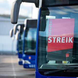 In mehreren Städten in BW gibt es diese Woche wieder Einschränkungen. Die Gewerkschaft Verdi hat zu Streiks im öffentlichen Dienst aufgerufen.