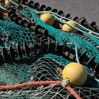 Fischernetz am Strand.