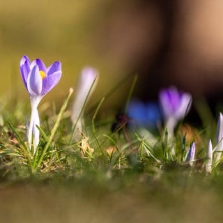 Endlich Frühling! Am Freitag knacken wir die 19-Grad-Marke 🥳 Die kommenden Tage gibt es gutes Wetter in Deutschland, vor allem im Westen. Am Freitag solls sogar 19 Grad werden.