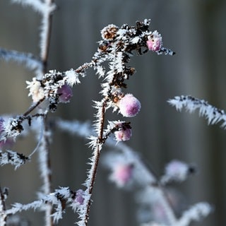 Alles Fake?! Schnee-Dorf besteht aus Schaum und Watte