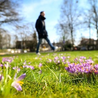 Das erste Wochenende mit frühlingshaften Temperaturen steht vor der Tür. Dieses Wetter erwartet dich in RLP und BW!