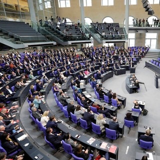 Abgeordnete im Bundestag: Wer sind die neuen Abgeordnete, die 2025 in den Bundestag einziehen? 