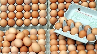 In einer Bäckerei in Speyer ist ein Streit eskaliert. Plötzlich sind Eier geflogen.