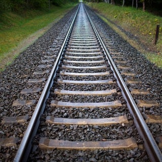 Bahngleise - Wer zwischen Karlsruhe und Neustadt mit dem Zug pendelt, bekommt Probleme in den nächsten Wochen. Dachse haben unter den Gleisen einen Bau gebaut, der ist eingestürzt. Die Strecke ist jetzt gesperrt.