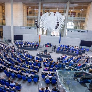 213. Sitzung des Bundestages - Sondersitzung zur Änderung des Grundgesetzes.