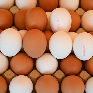 Frische weiße und braune Eier liegen an einem Marktstand zum Verkauf bereit.