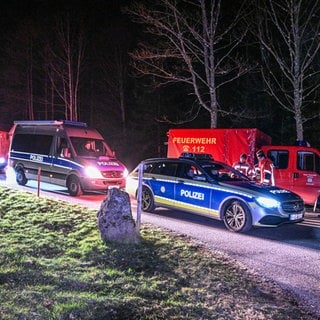 Feuerwehr und Polizei beteiligen sich an einer Suchaktion, nachdem ein zweijähriger Junge vermisst wurde. Ein zweijähriger Junge aus dem Ortenaukreis in Baden-Württemberg ist nach einer stundenlangen Suchaktion unverletzt im Wald gefunden worden.