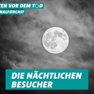 Folge 31 - Die nächtlichen Besucher