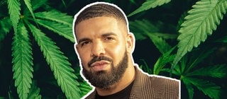 Drake vor Hanf